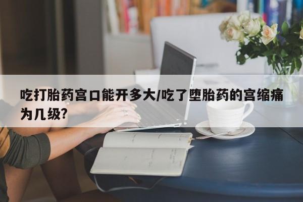 我想在网上买正品打胎药吃打胎药宫口能开多大/吃了堕胎药的宫缩痛为几级?